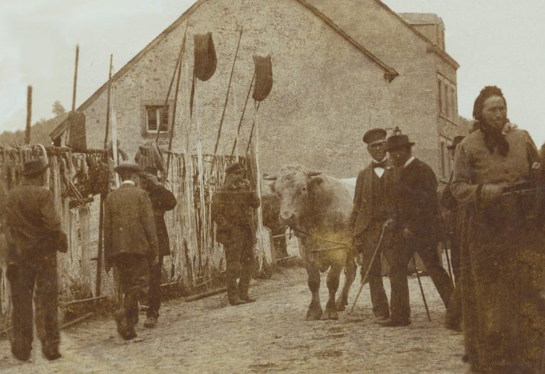 1900 Viehmarkt Kyllburger Geschichte n 1900-viehmarkt-kyllburger-geschichte-n